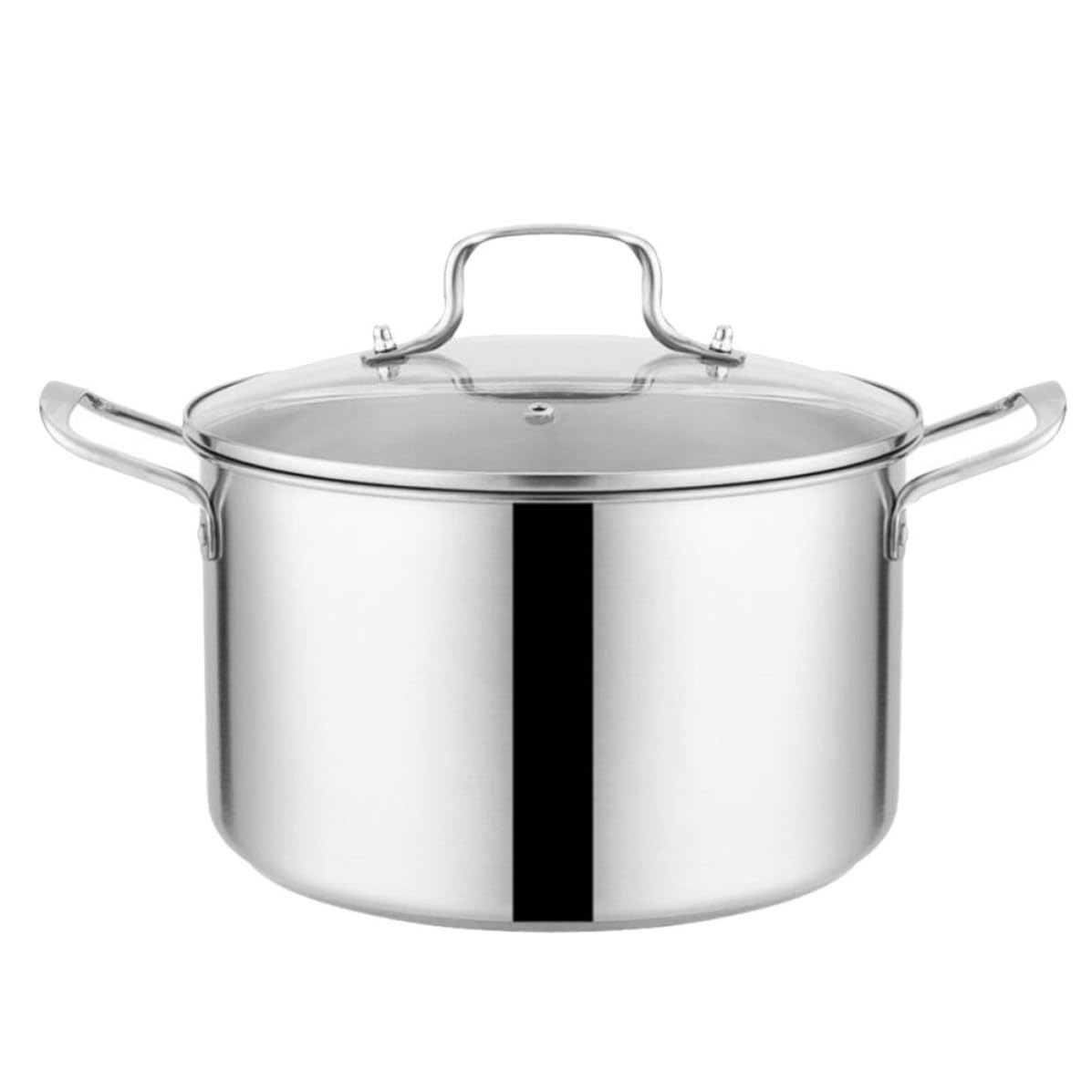 Stainless Steel Stockpot H9134