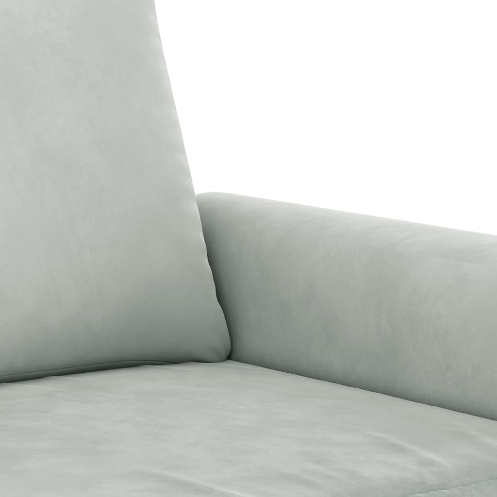 Light Gray Velvet 2 Piece Sofa Set with Pillows G681269
