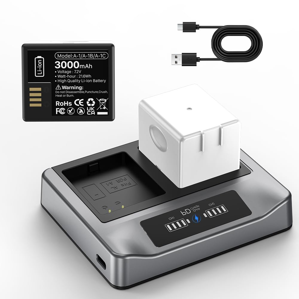 2-Pack Rechargeable Batteries with Charging Station O9673