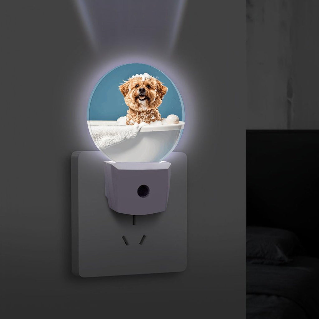 Plug-in Wall Night Light F213770