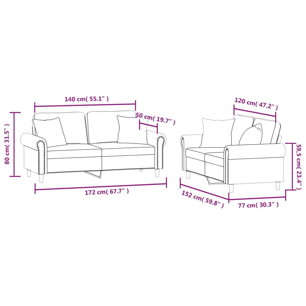 Light Gray Velvet 2 Piece Sofa Set with Pillows G681269