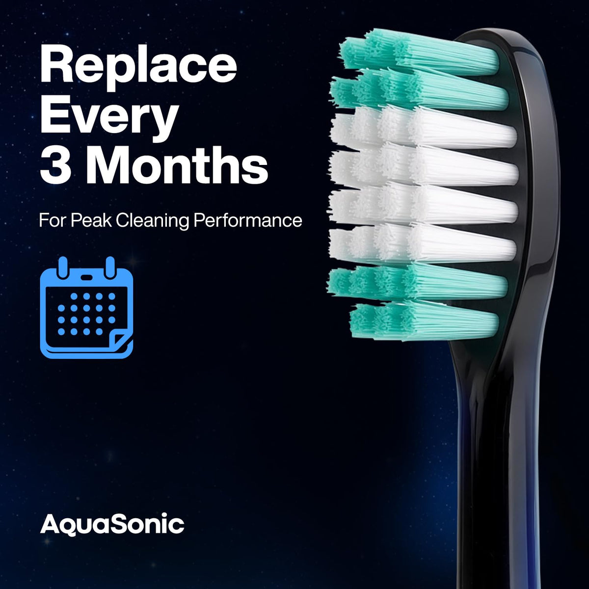 Black 2 Pack Replacement Brush Heads S5549