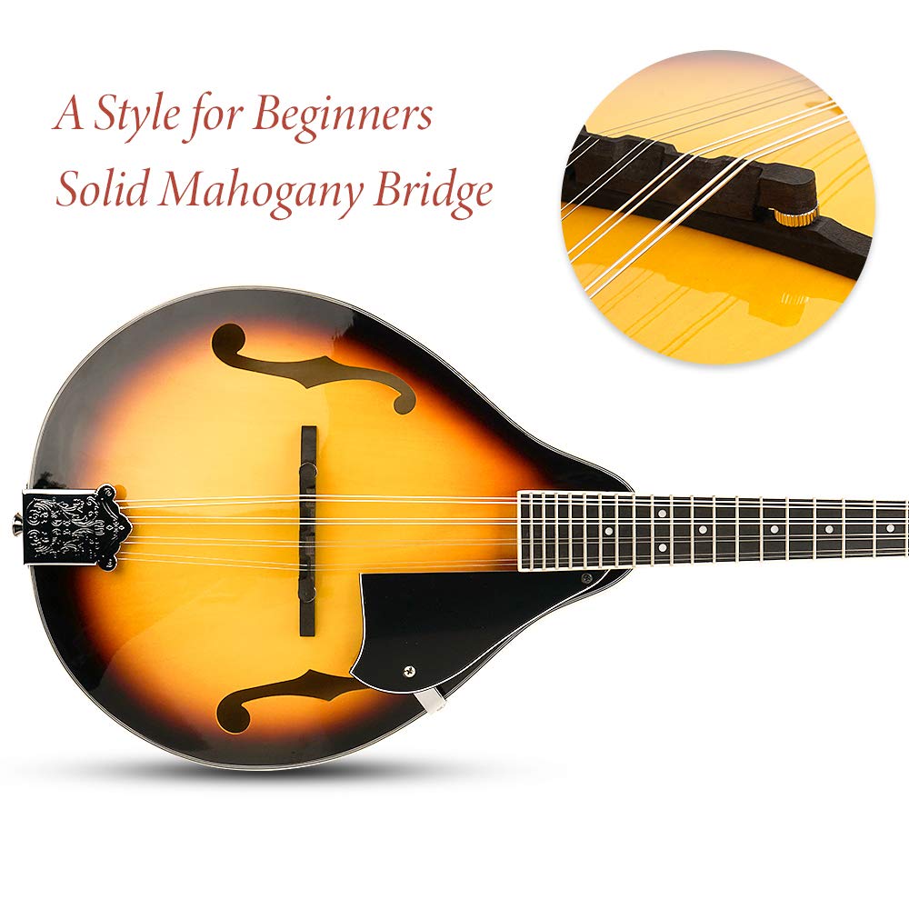 Sunburst 8 String Acoustic Mandolin O398727