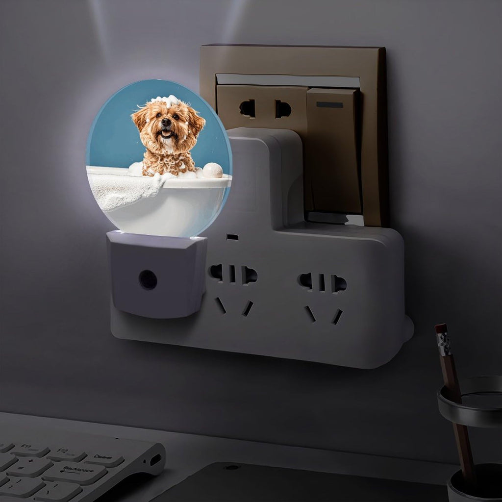Plug-in Wall Night Light F213770