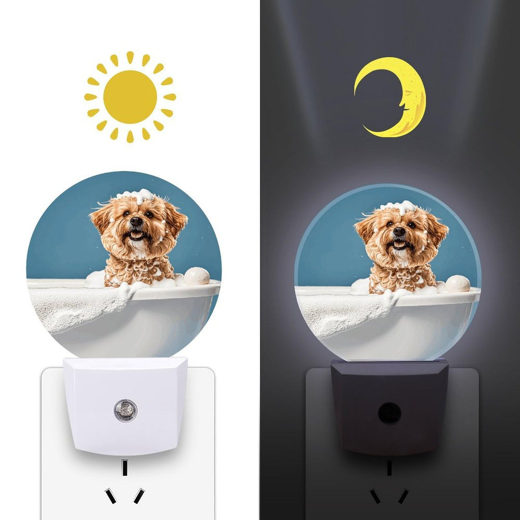 Plug-in Wall Night Light F213770