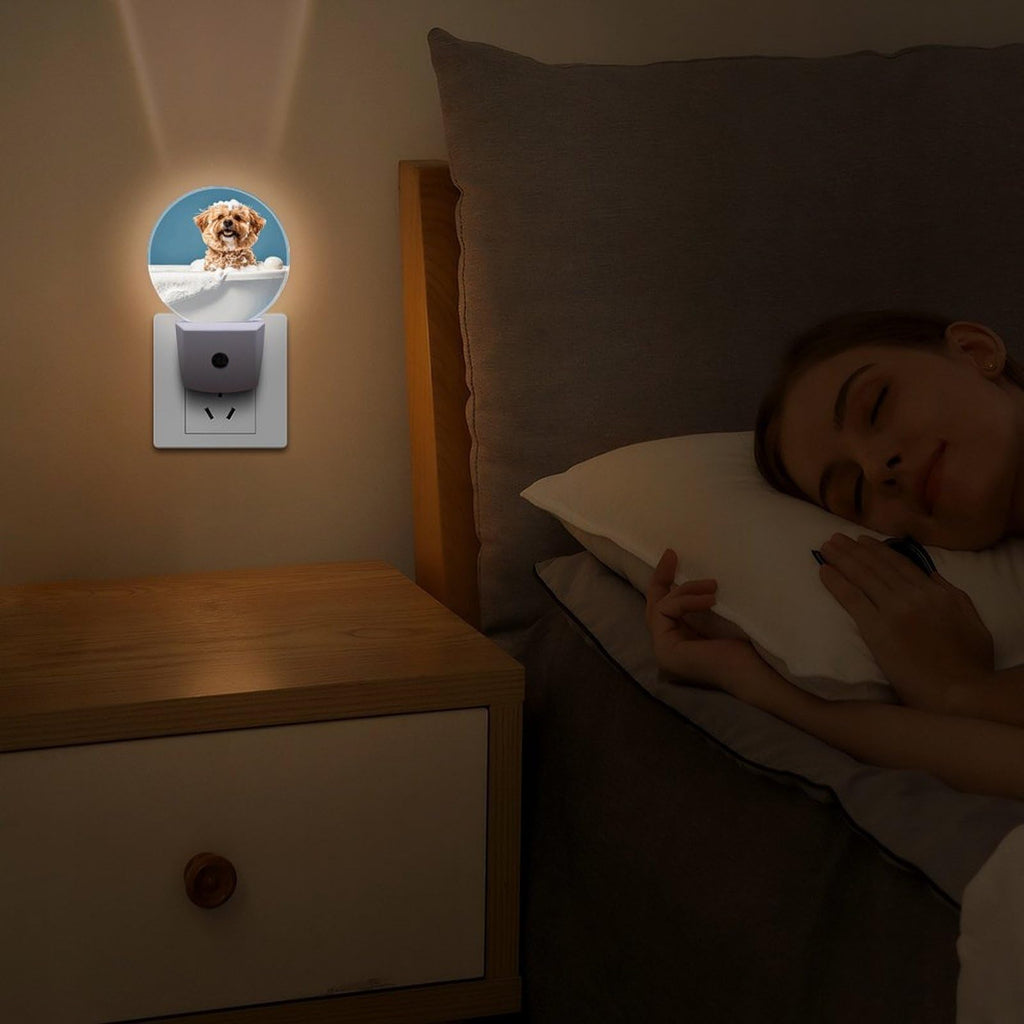 Plug-in Wall Night Light F213770