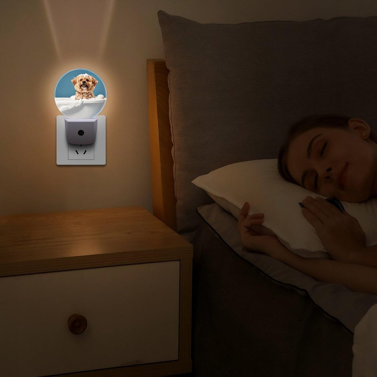 Plug-in Wall Night Light F213770
