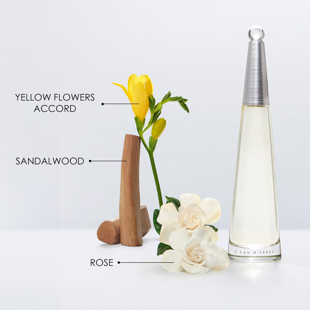 Eau de Parfum Floral Aquatic Fragrance O550348