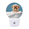 Plug-in Wall Night Light F213770