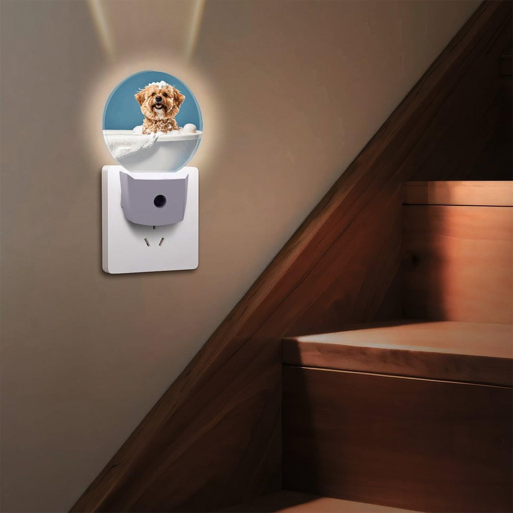 Plug-in Wall Night Light F213770