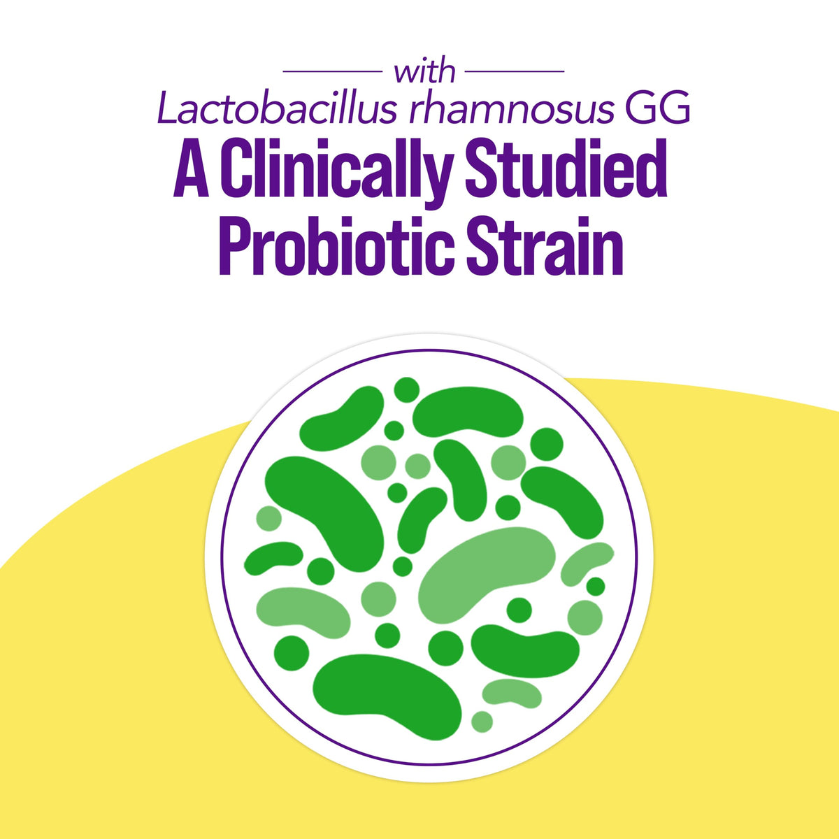 Probiotic 20B CFUs 30 Count I602267