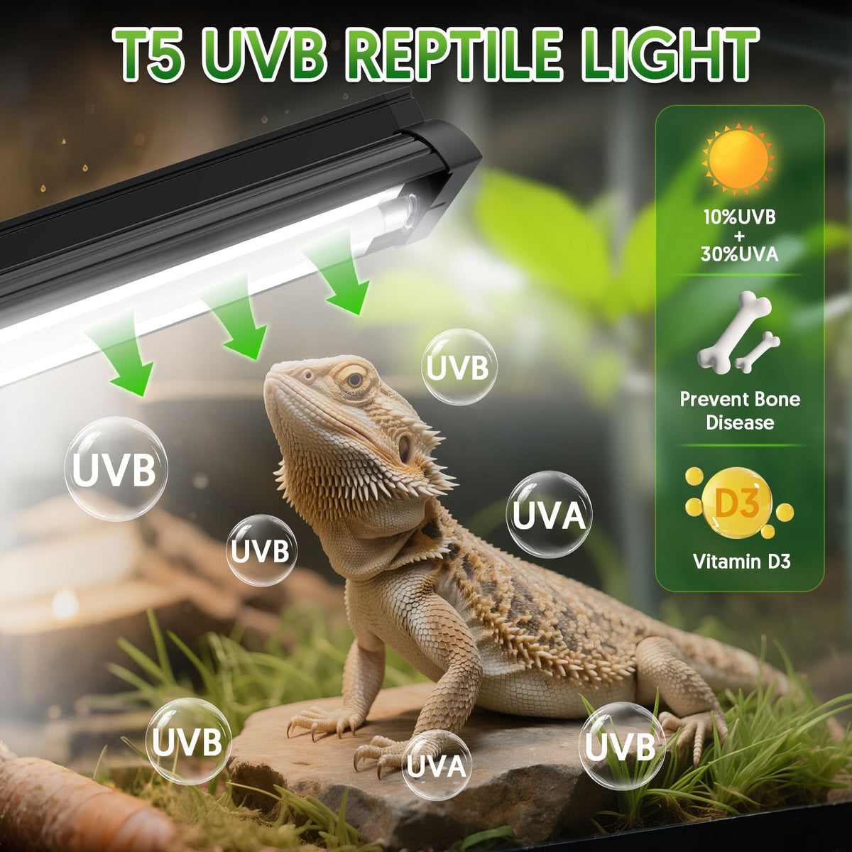 8W UVB Reptile Light Fixture Combo Kit N760