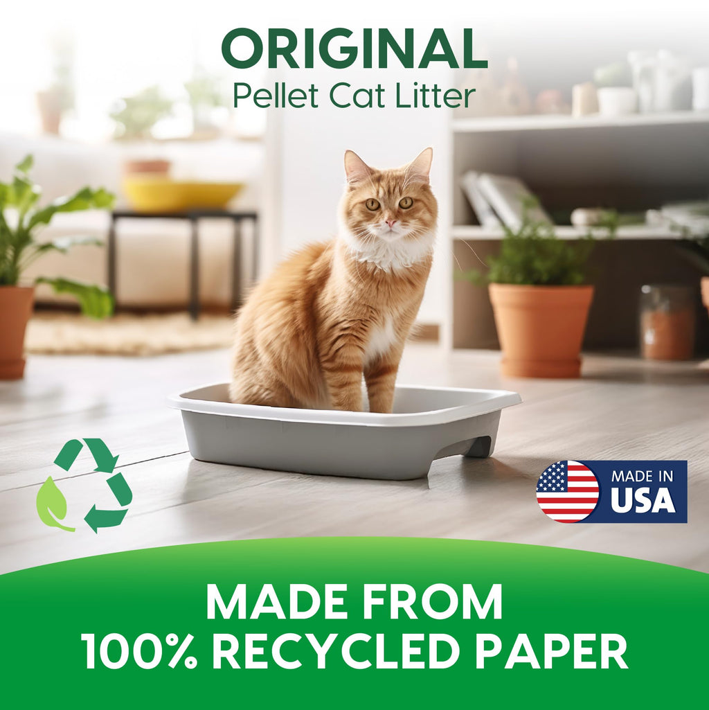Paper Non-Clumping Cat Litter 12 Pound E338