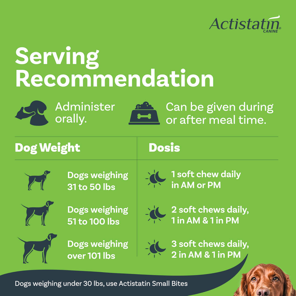 Large Dog Soft Chews, 120ct Joint Supplement R330800