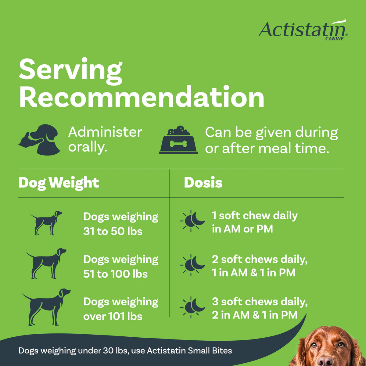 Large Dog Soft Chews, 120ct Joint Supplement R330800
