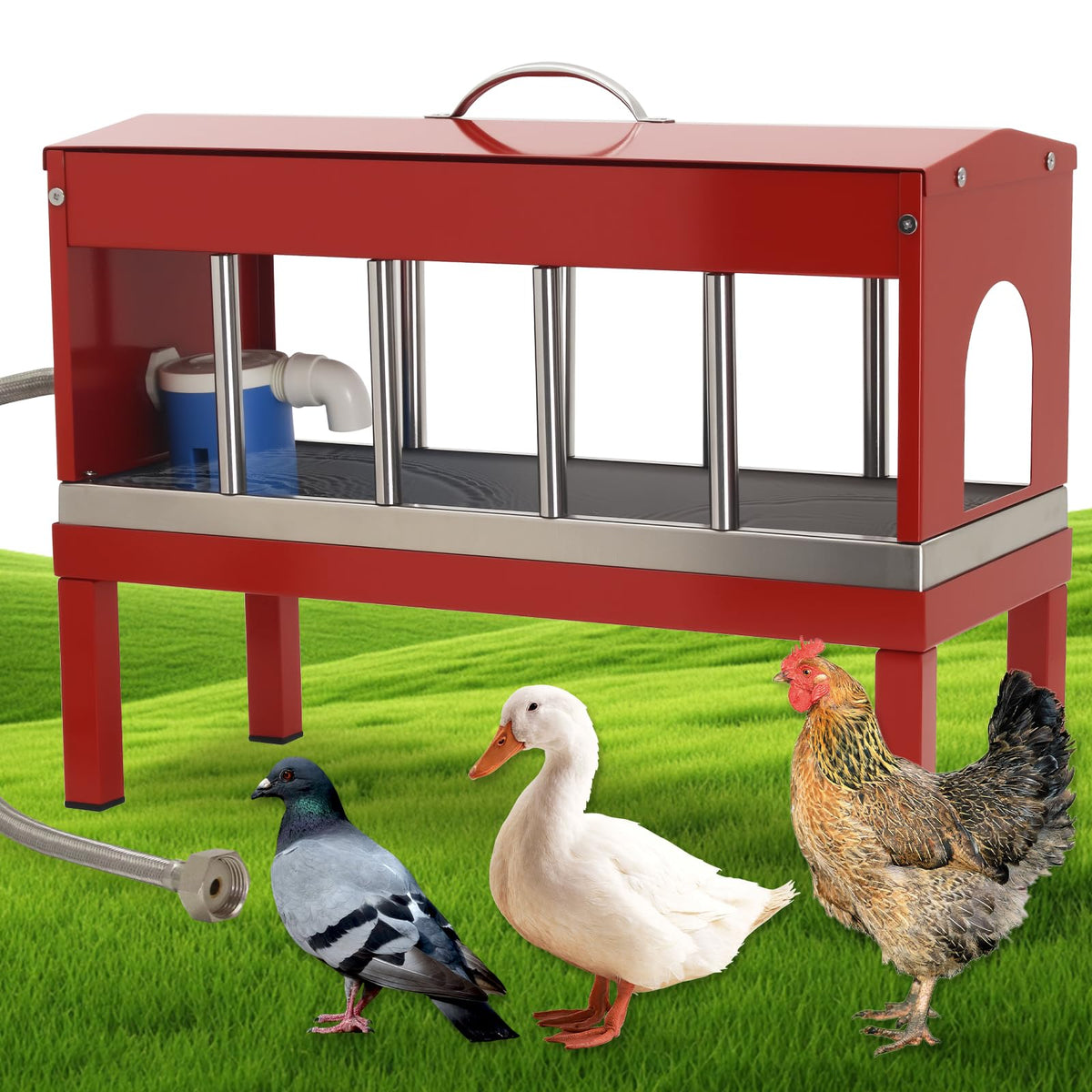 Automatic Stainless Steel Poultry Waterer Dispenser Z30878