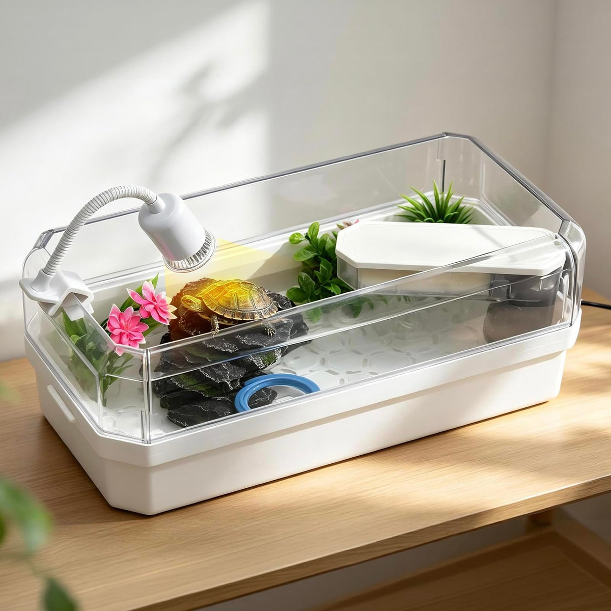 Turtle Tank Starter Kit X688094