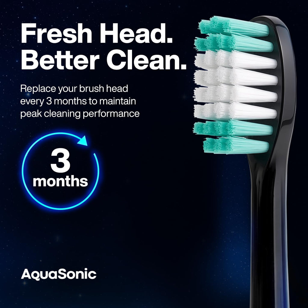 Black 2 Pack Replacement Brush Heads S5549