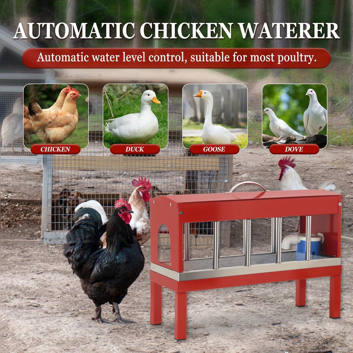 Automatic Stainless Steel Poultry Waterer Dispenser Z30878