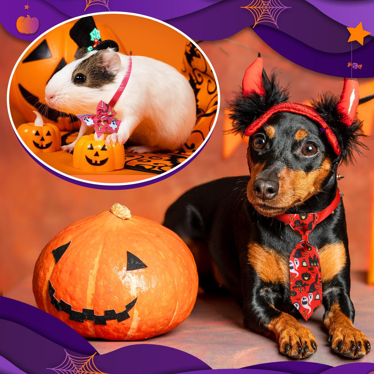 240 Pcs Halloween Dog Bows Tie Collars V2872