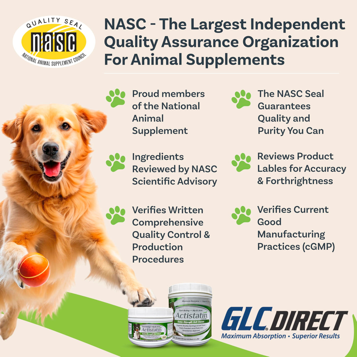 Large Dog Soft Chews, 120ct Joint Supplement R330800
