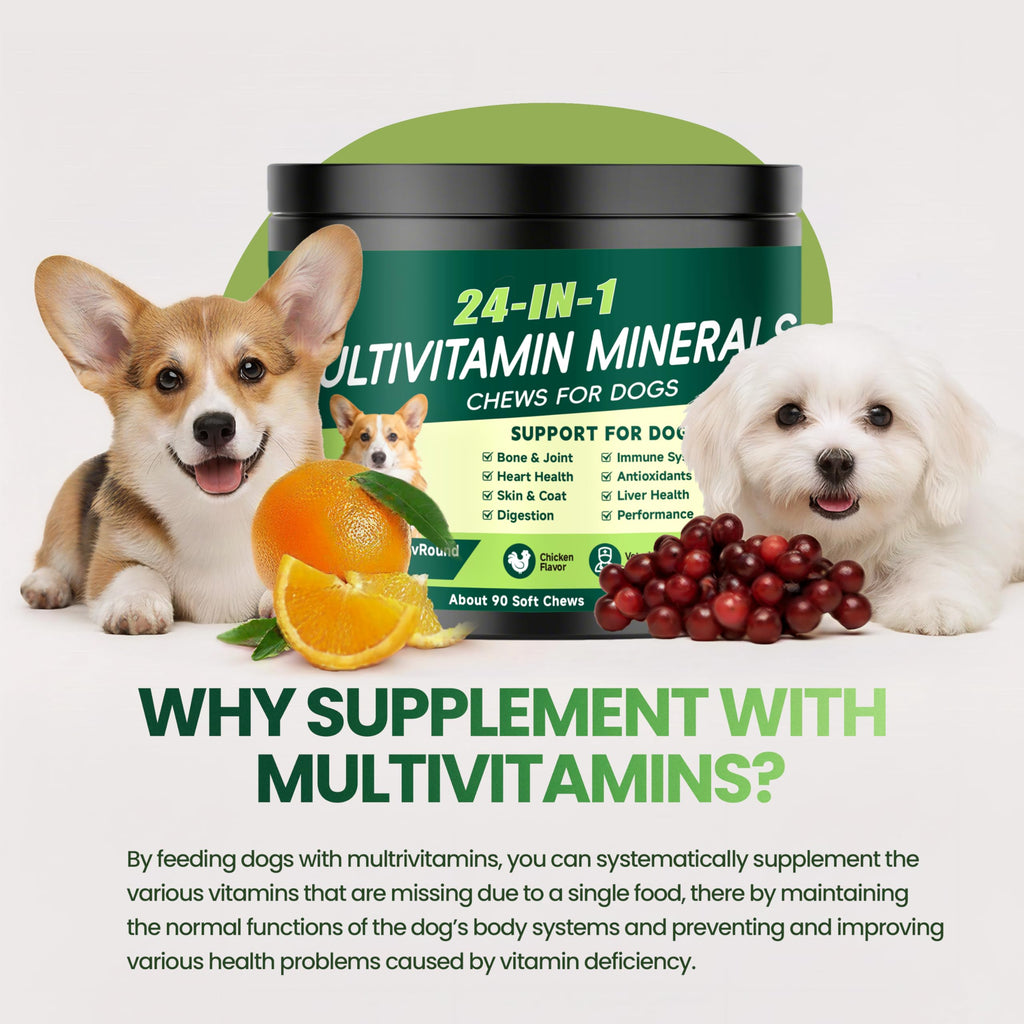 Dog Multivitamin Chewable K1002