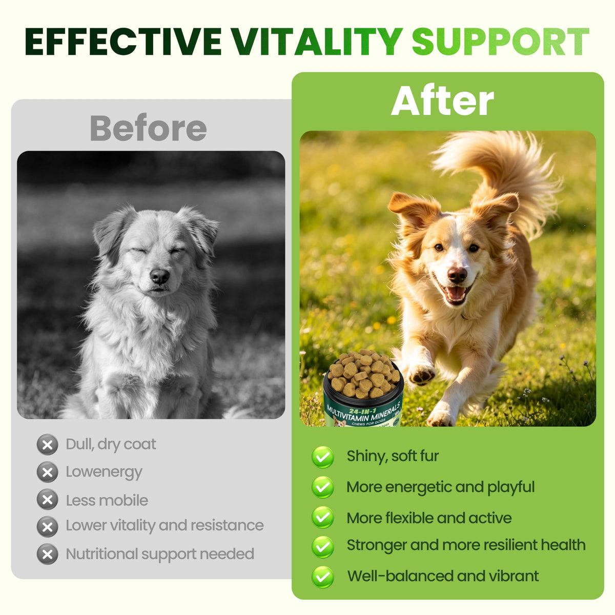Dog Multivitamin Chewable K1002