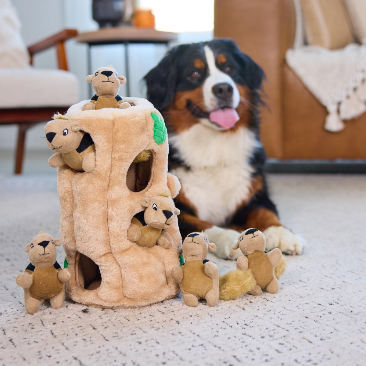 Plush Squeaky Dog Toy D6578