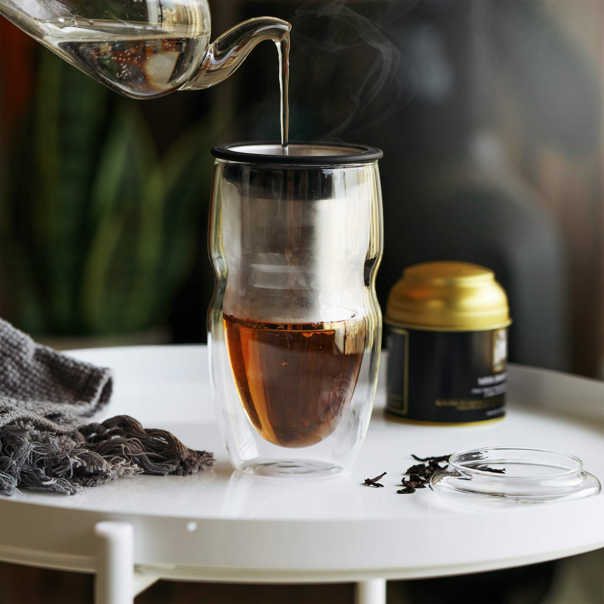 Double Wall Glass Tea Cup with Stainless Steel Infuser and Lid, 16 oz, 2 Pack T425