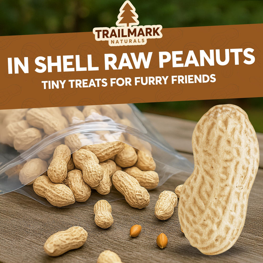 Raw In Shell Peanuts O161