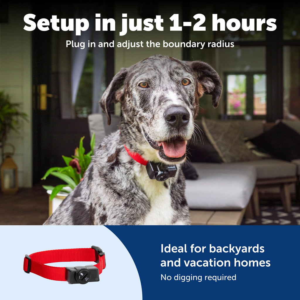 Wireless Pet Containment System, 2 Dogs, Up to 1/2 Acre T388084