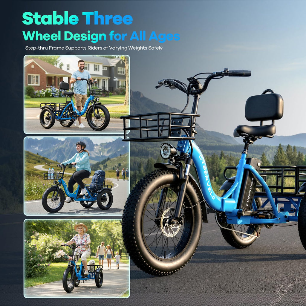 Fat Tire Folding Electric Trike D121119