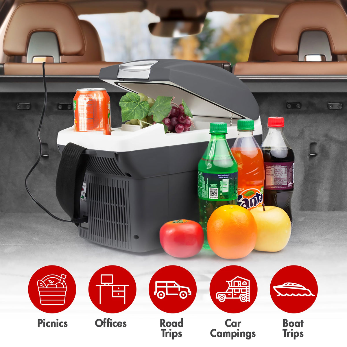 12V 6 Quart Portable Electric Cooler Warmer W8638