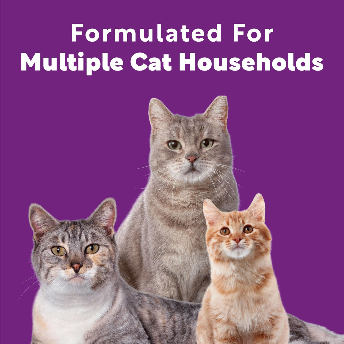 Multi Cat Litter Meadow Fresh Scent 14 lb D264
