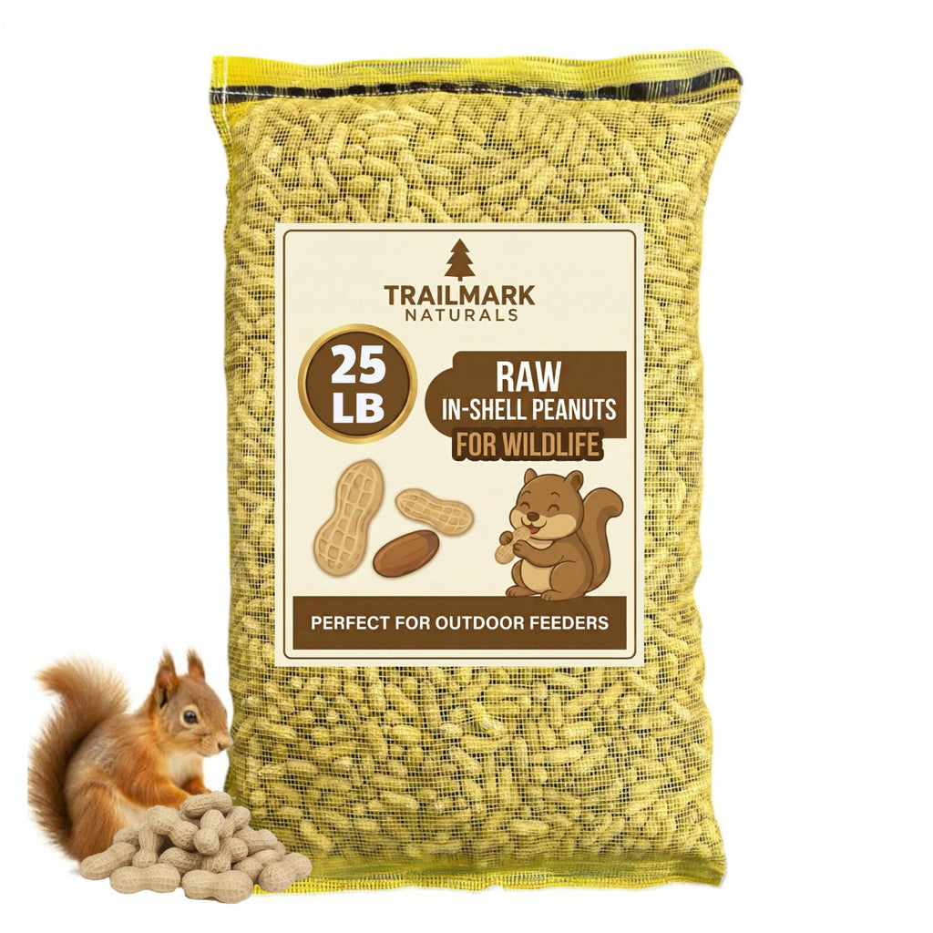 Raw In Shell Peanuts O161