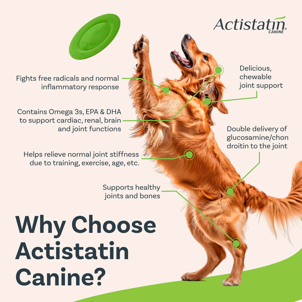 Large Dog Soft Chews, 120ct Joint Supplement R330800