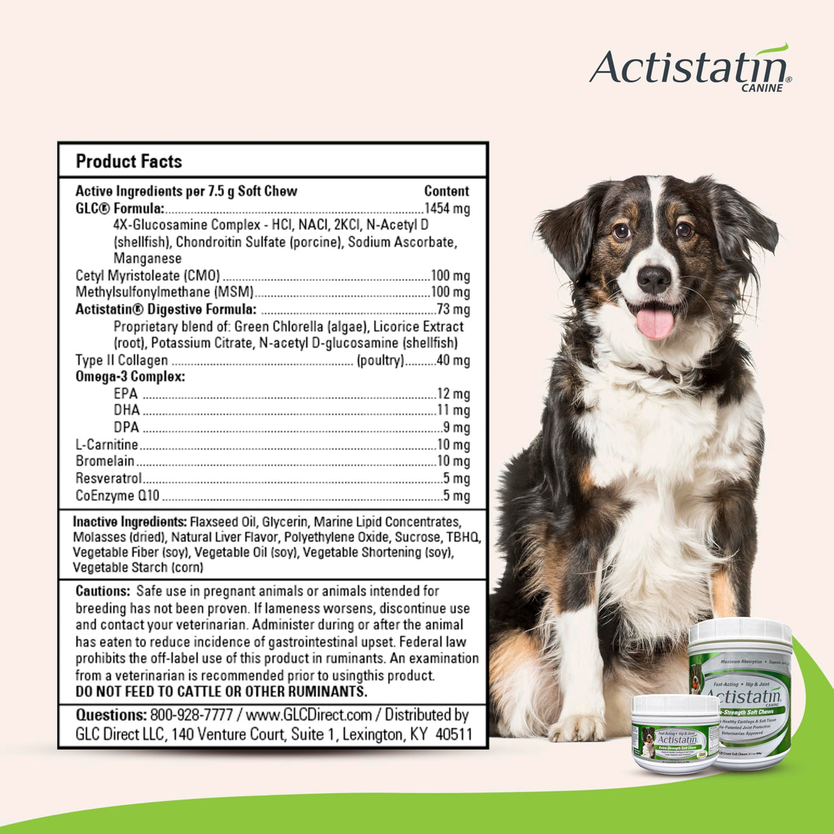 Large Dog Soft Chews, 120ct Joint Supplement R330800