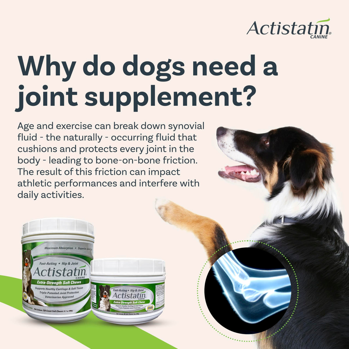 Large Dog Soft Chews, 120ct Joint Supplement R330800