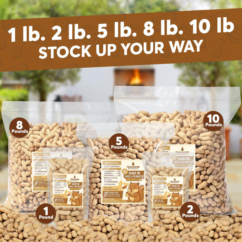 Raw In Shell Peanuts O161