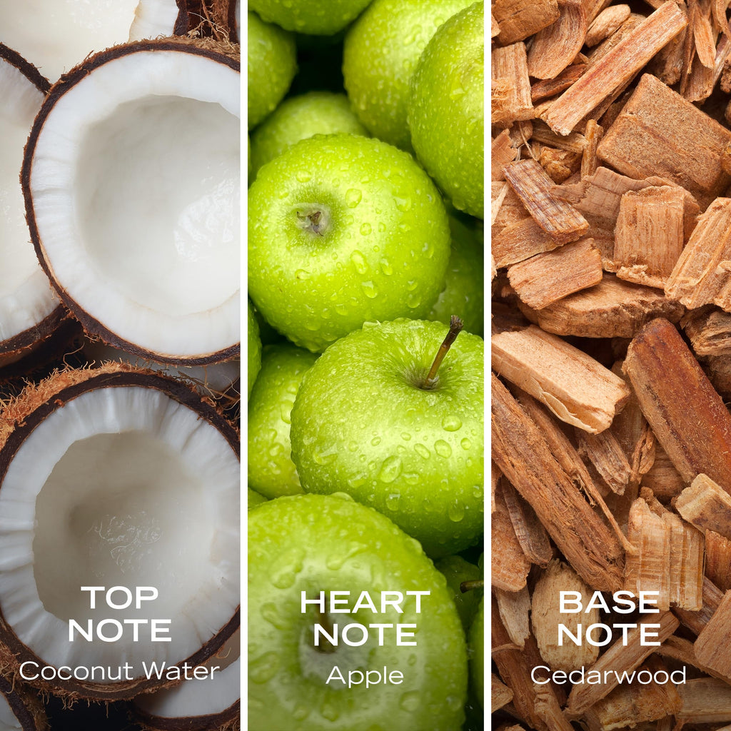 Coconut Apple Cedarwood Hair & Body Mist 8.0 fl oz P616