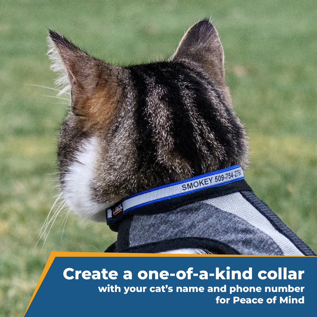 Reflective Cat Collar L240